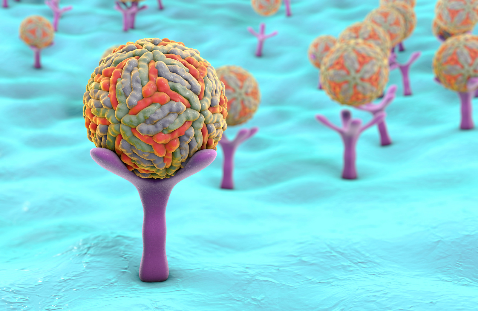 The Role of Body Receptors in Cellular Communication