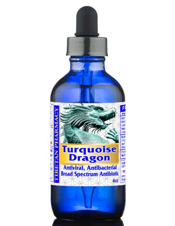 Turquoise Dragon natural antibiotic by Jampha, showcasing its herbal formula featuring a blend of 22 herbs effective against bacterial and viral infections.
