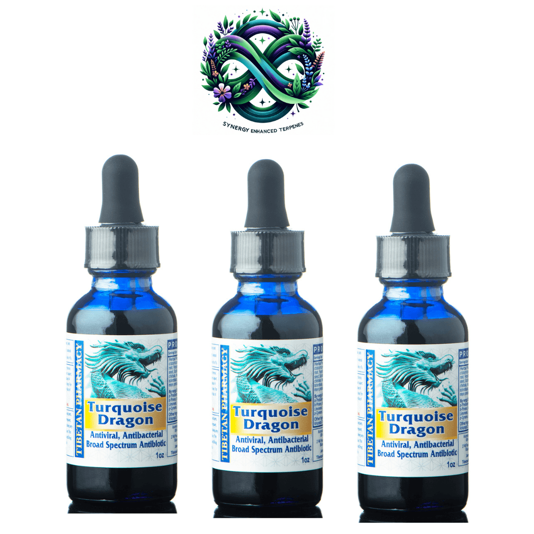 Turquoise Dragon Immune Boost 3 Pack | Buy Now – Three blue dropper bottles of Turquoise Dragon infusion for immune system support and detox.