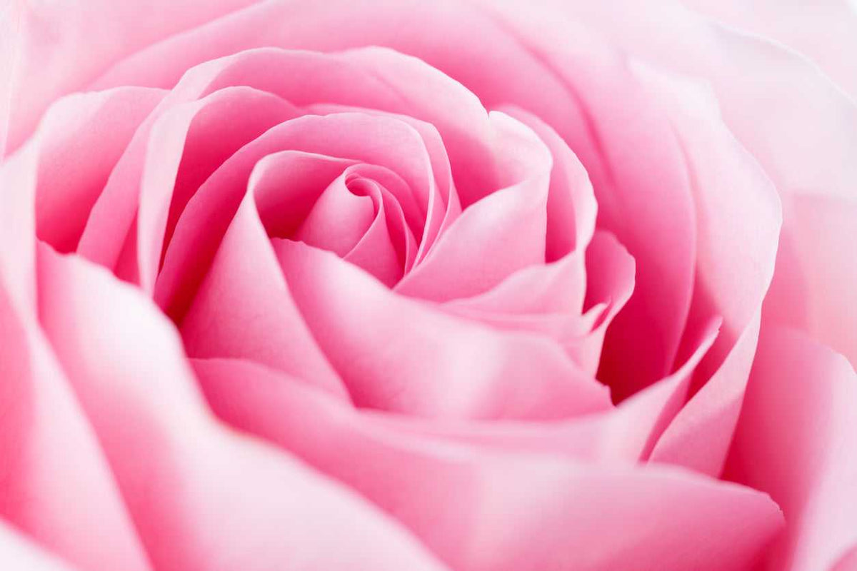 Rose Gold ORMUS Auric Mist for Energy Field Cleansing
