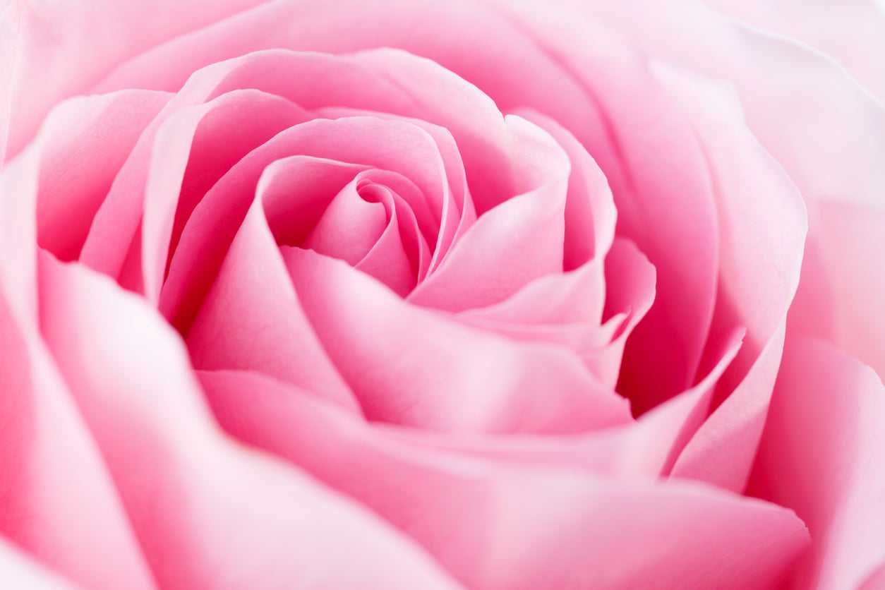 Rose Gold ORMUS Auric Mist for Energy Field Cleansing