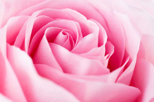 Rose Gold ORMUS Auric Mist for Energy Field Cleansing